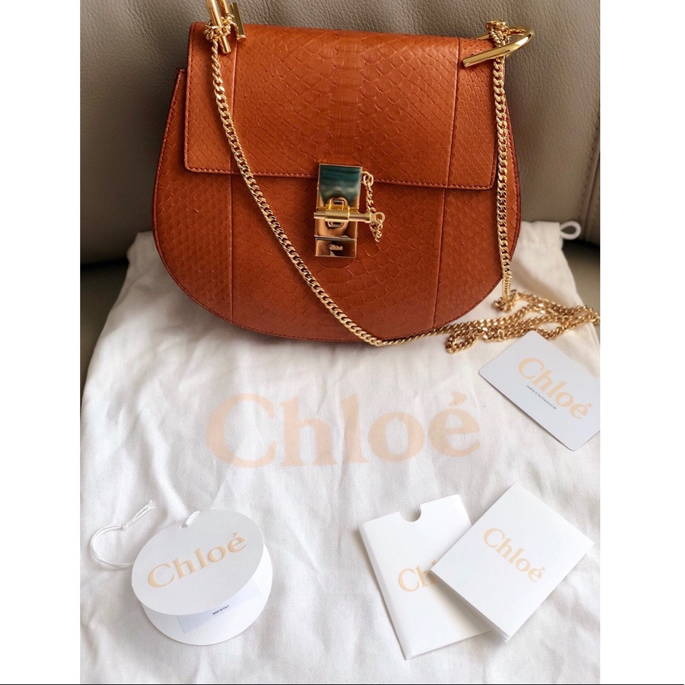 Chloe Drew PYTHON Shoulder Bag, Special Edition - Picture 2 of 8